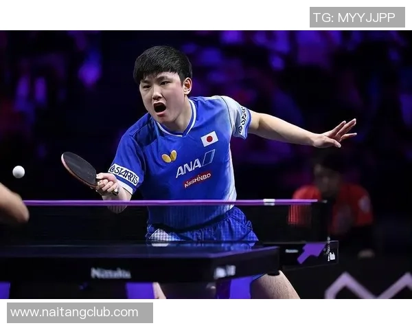 波尔与张本智和精彩对决视频回顾乒乓球巅峰对决不容错过
